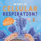 What is Cellular Respiration? Process, Products and Reactants of Cellular Respiration Explained Grade 6-8 Life Science Cover Image