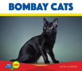 Bombay Cats (Big Buddy Cats) By Katie Lajiness Cover Image