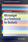Microalgae as a Feedstock for Biofuels (Springerbriefs in Microbiology) By Luisa Gouveia Cover Image