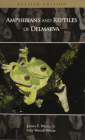 Amphibians and Reptiles of Delmarva Cover Image