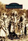Woodstock Revisited (Images of America (Arcadia Publishing)) Cover Image