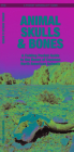 Animal Skulls & Bones Laminated: A Laminated Folding Guide to the Bones of Common North American Animals (Pocket Naturalist Guide) Cover Image