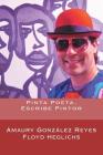 Pinta Poeta, Escribe Pintor By Floyd Heglichs (Illustrator), Amaury Gonzalez Reyes Cover Image