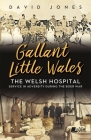 Gallant Little Wales: The Welsh Hospital for South Africa By David Jones Cover Image
