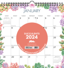 Succulents 2024 12 X 12 Spiral Wall Calendar By Willow Creek Press Cover Image