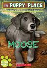 The Puppy Place #23: Moose By Ellen Miles Cover Image