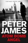 Atom Bomb Angel By Peter James Cover Image