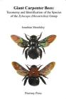 Giant Carpenter Bees: Taxonomy and Identification of the Species of the Xylocopa (Mesotrichia) Group Cover Image