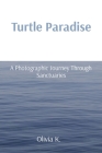 Turtle Paradise: A Photographic Journey Through Sanctuaries Cover Image