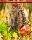 Erizo: Datos e imágenes increíbles de los Erizo Cover Image
