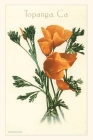 The Vintage Journal Poppies, Topanga, California By Found Image Press (Producer) Cover Image