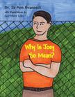 Why Is Joey So Mean? By Eva-Marie Lyles (Illustrator), Jo Ann Brannock Cover Image