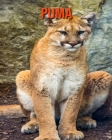 Puma: Amazing Facts about Puma By Devin Haines Cover Image