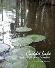 Caddo Lake: water, light and atmosphere By Duane Johnson Cover Image