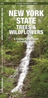 New York State Trees & Wildflowers: A Folding Pocket Guide to Familiar Plants (Pocket Naturalist Guide) By James Kavanagh, Waterford Press, Raymond Leung (Illustrator) Cover Image