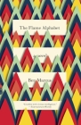 The Flame Alphabet (Vintage Contemporaries) Cover Image