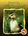 Little Ducks (Born to Be Wild) By Anne Royer Cover Image