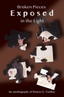 Broken Pieces Exposed In The Light Cover Image