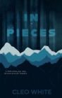 In Pieces: A Forbidden, Age Gap, Doctor Patient Romance Cover Image