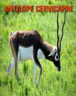Antilope Cervicapre: Recueil pour Enfants de Belles Images & d'Informations Intéressantes Concernant les Antilope Cervicapre Cover Image