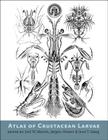 Atlas of Crustacean Larvae By Joel W. Martin (Editor), Jørgen Olesen (Editor), Jens T. Høeg (Editor) Cover Image