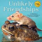 Unlikely Friendships Mini Wall Calendar 2020 By Jennifer S. Holland, Workman Calendars (With) Cover Image