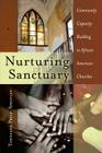 Nurturing Sanctuary: Community Capacity Building in African American Churches (Black Studies and Critical Thinking #67) Cover Image