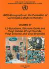 1,3-Butadiene, Ethylene Oxide and Vinyl Halides (Vinyl Fluoride, Vinyl Chloride and Vinyl Bromide) (IARC Monographs on the Evaluation of the Carcinogenic Risks #97) By The International Agency for Research on Cover Image