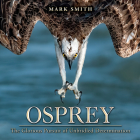 Osprey: The Glorious Pursuit of Unbridled Determination By Mark Smith (Photographer), Mark Smith (Text by (Art/Photo Books)) Cover Image