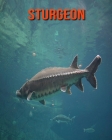 Sturgeon: Amazing Facts about Sturgeon By Devin Haines Cover Image