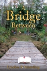 A Bridge Between By Lyndon B. Stimeling Cover Image