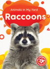 Raccoons By Amy McDonald Cover Image