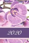 2020: Agenda semainier 2020 - Calendrier des semaines 2020 - Turquoise pointillé - Fleurs Orchidées Cover Image