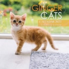 Ginger Cats Calendar 2021: 16 Month Calendar Cover Image