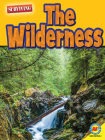 The Wilderness Cover Image