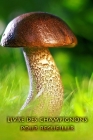 Livre des champignons pour recueillir: Tenez vos plus beaux champignons pour l'éternité By Cueilleur de Champignons Journal Cover Image