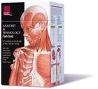 Anatomy & Physiology Flash Cards By Scientific Publishing (Other) Cover Image