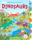 My First Search and Find: Dinosaurs By Editors of Silver Dolphin Books, Neiko Ng (Illustrator) Cover Image