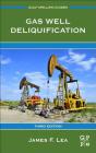 Gas Well Deliquification (Gulf Drilling Guides) By James F. Lea, Lynn Rowlan Cover Image