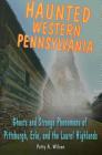 Haunted Western Pennsylvania: Ghosts and Strange Phenomena of Pittsburgh, Erie, and the Laurel Highlands (Haunted (Stackpole)) By Patty A. Wilson Cover Image