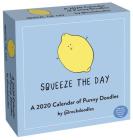 A 2020 Day-to-Day Calendar of Punny Doodles: Squeeze the Day Cover Image