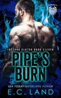 Pipe's Burn By Kim Lubbers (Editor), E. C. Land Cover Image