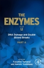 DNA Damage and Double Strand Breaks: Volume 51 (Enzymes #51) By Fuyuhiko Tamanoi (Volume Editor), Kenichi Yoshikawa (Volume Editor) Cover Image
