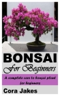 Bonsai for Beginners: A Complete Care to Bonsai Plant for Beginners Cover Image