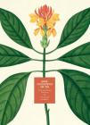 José Celestino Mutis: A Botanical Expedition By José Mutis (Artist), Esteban Manrique (Foreword by) Cover Image
