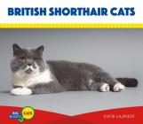 British Shorthair Cats (Big Buddy Cats) By Katie Lajiness Cover Image
