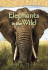 Elephants in the Wild (Shared Reading Big Books) By Claire Robinson Cover Image