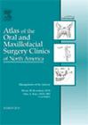 Management of the Airway, an Issue of Atlas of the Oral and Maxillofacial Surgery Clinics: Volume 18-1 (Clinics: Dentistry #18) Cover Image
