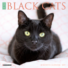 Just Black Cats 2021 Mini Wall Calendar Cover Image