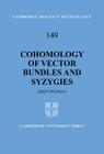 Cohomology of Vector Bundles and Syzygies (Cambridge Tracts in Mathematics #149) By Jerzy Weyman Cover Image